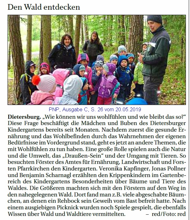 Grossansicht in neuem Fenster: Wald